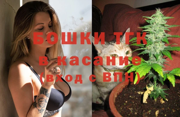 шишки Арсеньев