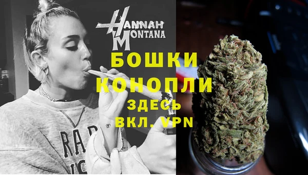 шишки Арсеньев