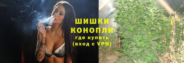 шишки Арсеньев